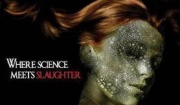 眼镜蛇女王在线观看,揭秘神秘蛇界传奇